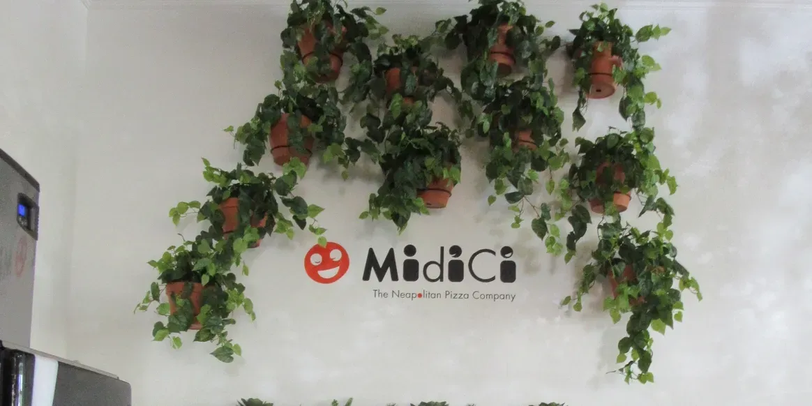 Wall with hanging plants and MidiCi logo.